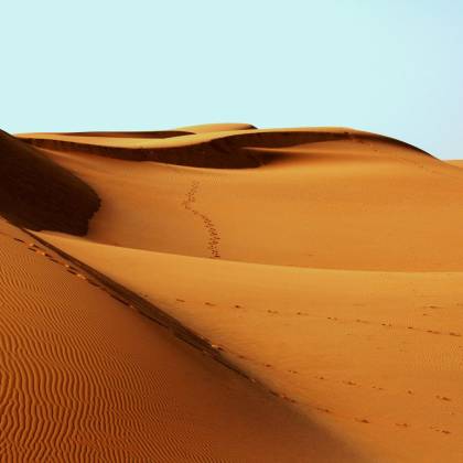 Expansive Golden Sand Dunes Stretch Under A Clear Sky, Marked By A Lone Trail Of Footprints.