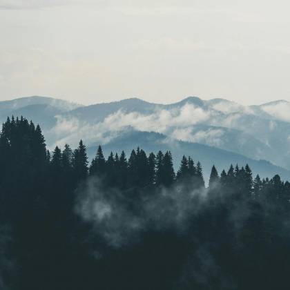 A Scenic View Of Misty Mountains And Dense Forest, Perfect For Nature Lovers.