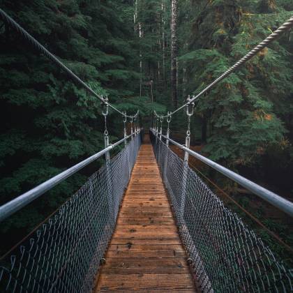 A Beautiful Suspension Bridge Amidst A Dense Forest, Perfect For Nature Backgrounds.