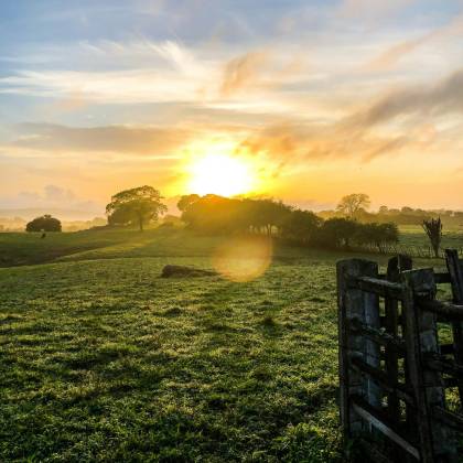 A Serene Sunrise Over A Lush, Green Meadow With Trees And A Rustic Gate, Capturing The Peaceful Rural Landscape.