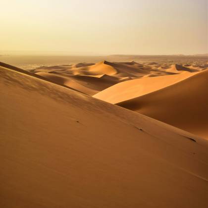Stunning View Of Golden Sand Dunes Under A Serene Sunset In The Algerian Sahara Desert.