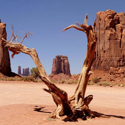 A Captivating Barren Landscape With A Dry Tree And Iconic Sandstone Formations In Monument Valley.