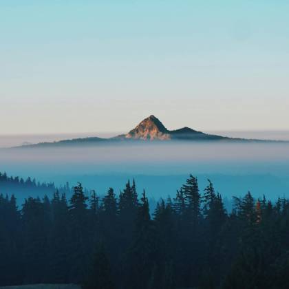 Serene Misty Mountain Peak With Forest And Pastel Sky At Sunrise, Ideal For Nature Lovers.