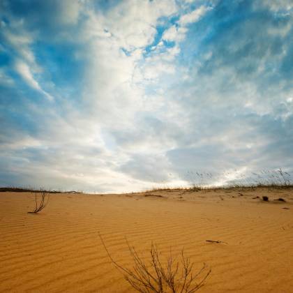 Wide View Of Oleshkivski Sand Dunes In Ukraine, Showcasing Dry Landscape And Dramatic Cloudscape.