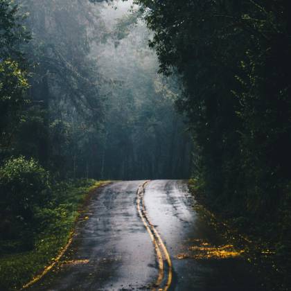 A Misty Forest Road With Striking Fog And Wet Asphalt, Ideal For Scenic Journeys.