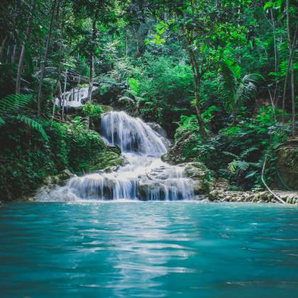 Captivating Tropical Waterfall Cascading Through Vibrant Jungle Greenery, A Serene Nature Escape.